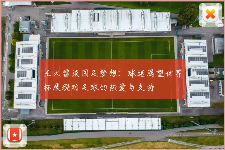 王大雷谈国足梦想：球迷渴望世界杯展现对足球的热爱与支持